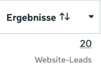 Ausschnitt aus dem Meta Werbeanzeigenmanager: 20 Website-Leads, 25,43 € pro Lead, 508,59 € ausgegebener Betrag